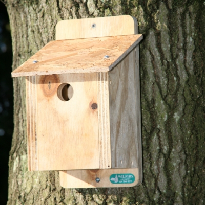 Blue Tit Nest Box