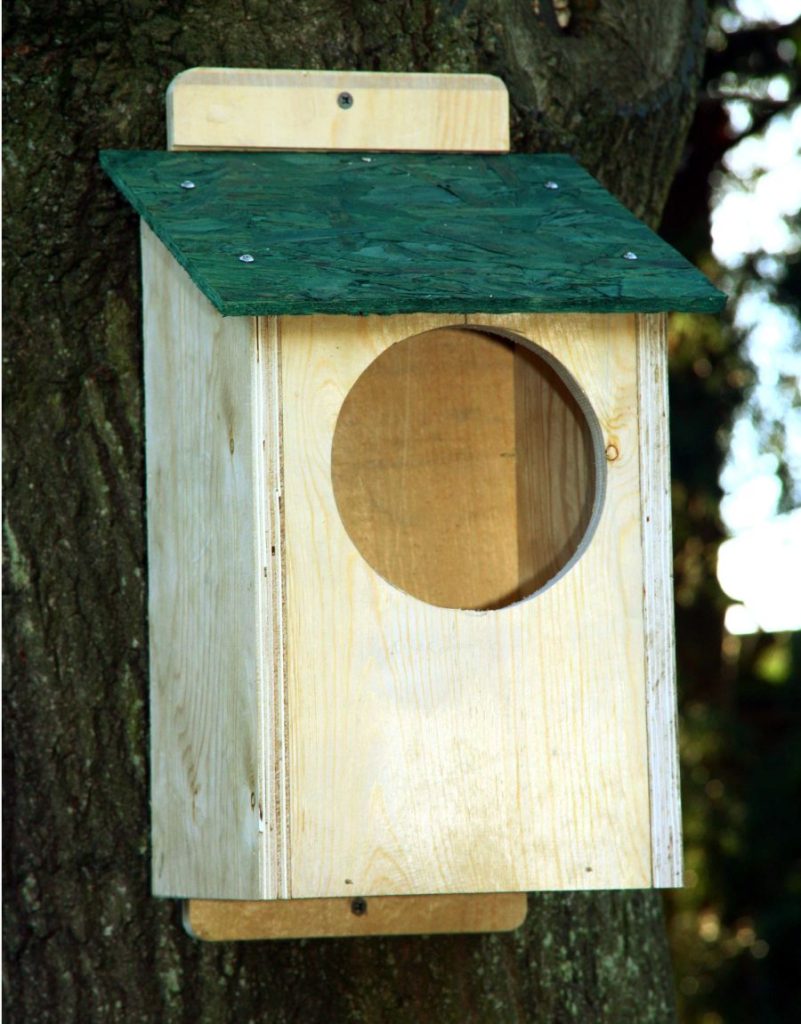 Jackdaw Nest Box