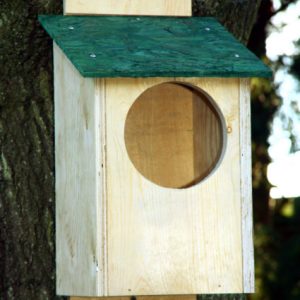 Red Squirrel Nest Box