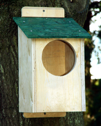 Red Squirrel Nest Box